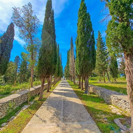 Apartments Jerka Sutivan Εξωτερικό φωτογραφία